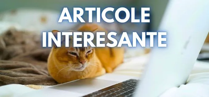 Articole interesante de citit astăzi – 9 februarie 2025