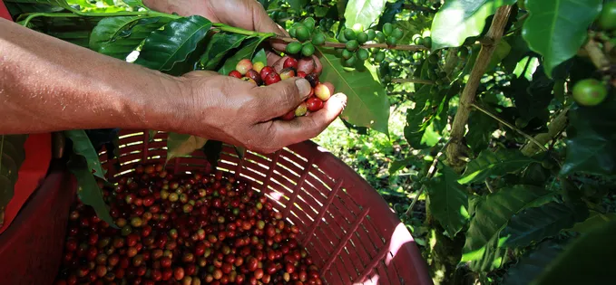 3 lucruri învățate la o degustare de cafea de specialitate